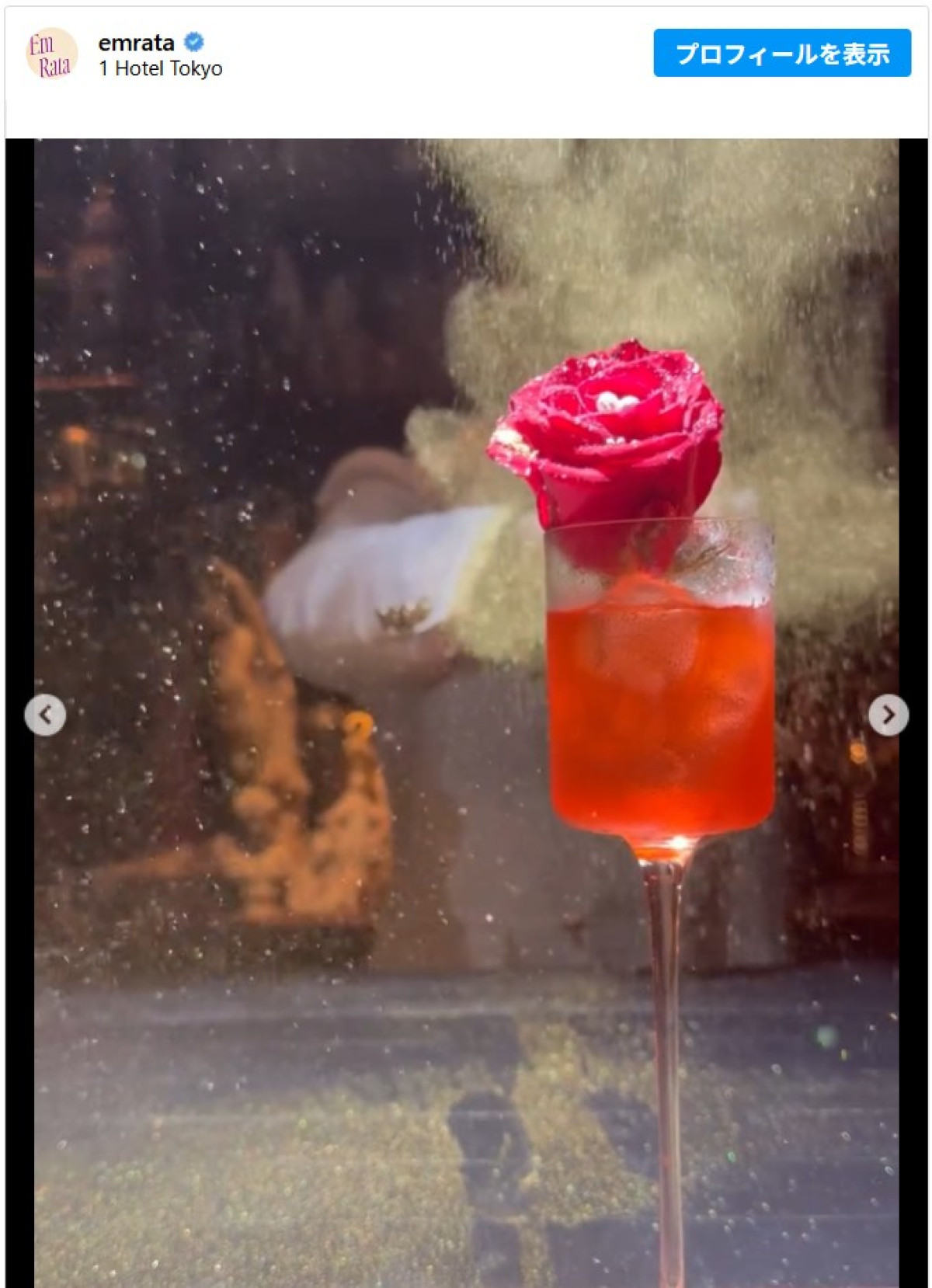 エミリー・ラタコウスキーが恋人と来日　桜並木やホテルでくつろぐショットを投稿