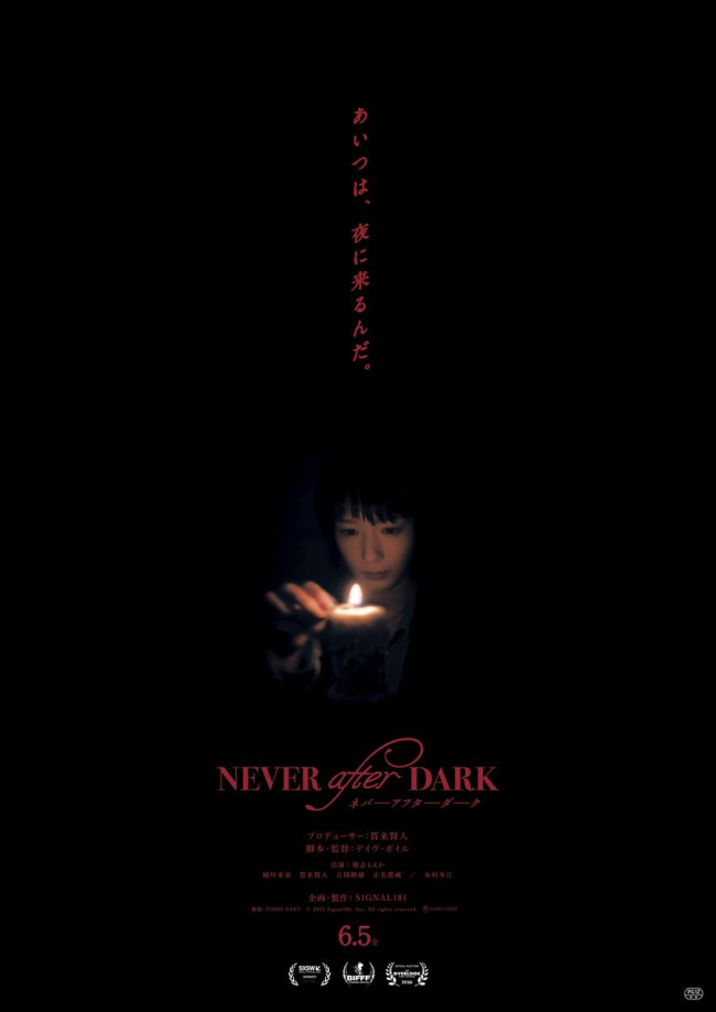 映画『Never After Dark／ネバーアフターダーク』本ポスター