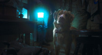 映画『GOOD BOY／グッド・ボーイ』場面写真