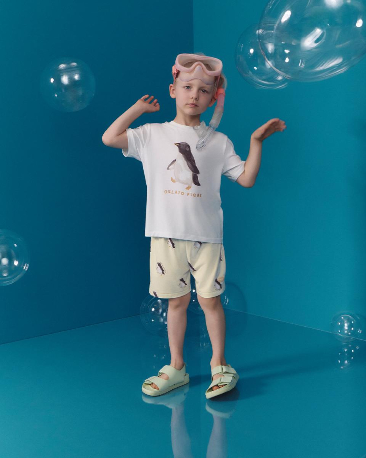 260525「SEA ANIMALS COLLECTION」