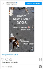 デコピンのかわいい年賀状　※「大谷翔平」instagram