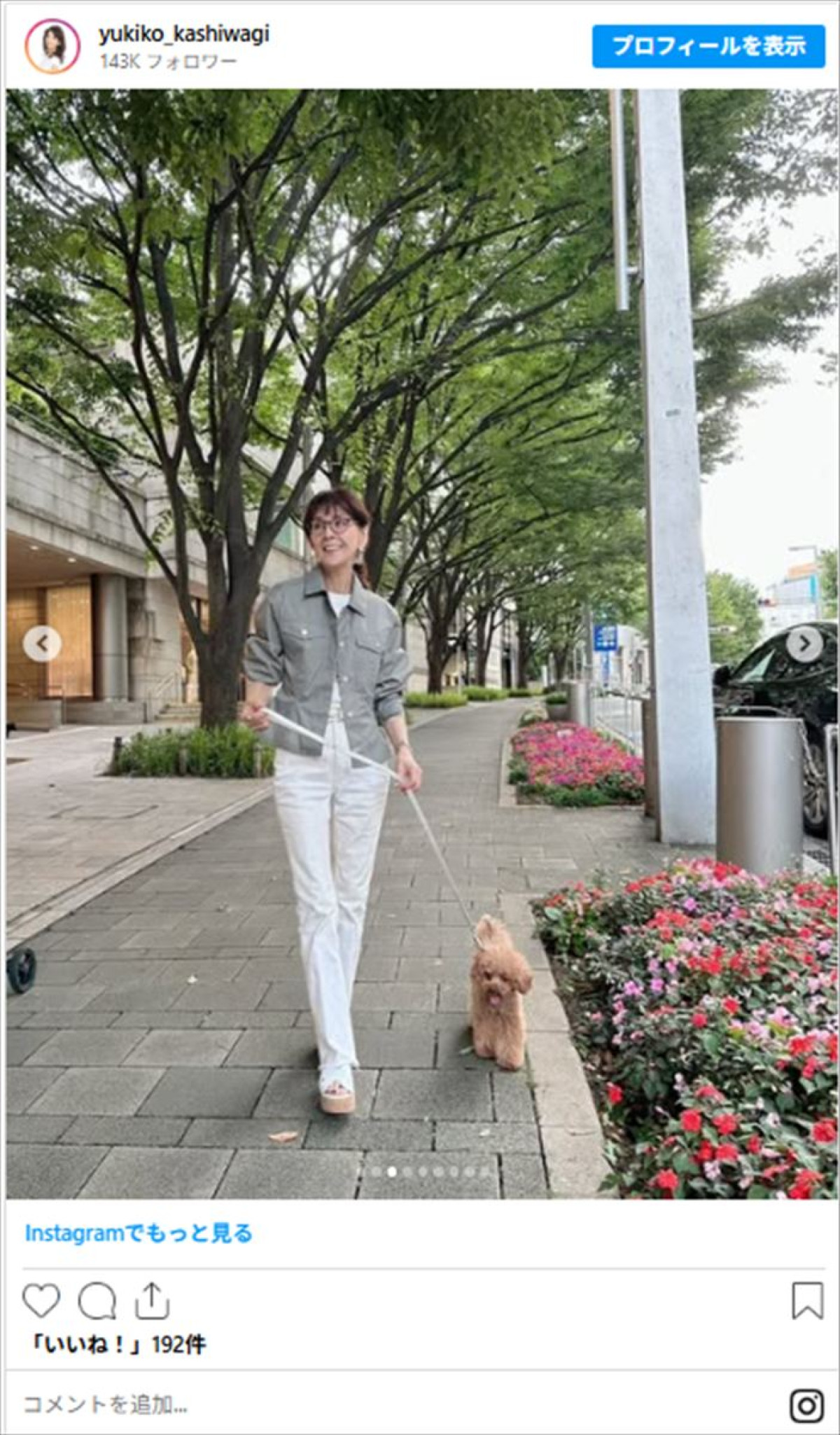 柏木由紀子78歳に見えない！　ジャケット＆パンツ姿　アクティブな“ワンコとお散歩”に反響