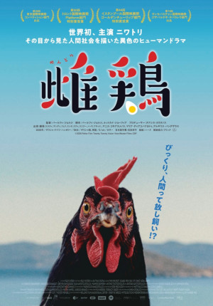 映画『雌鶏』ポスタービジュアル