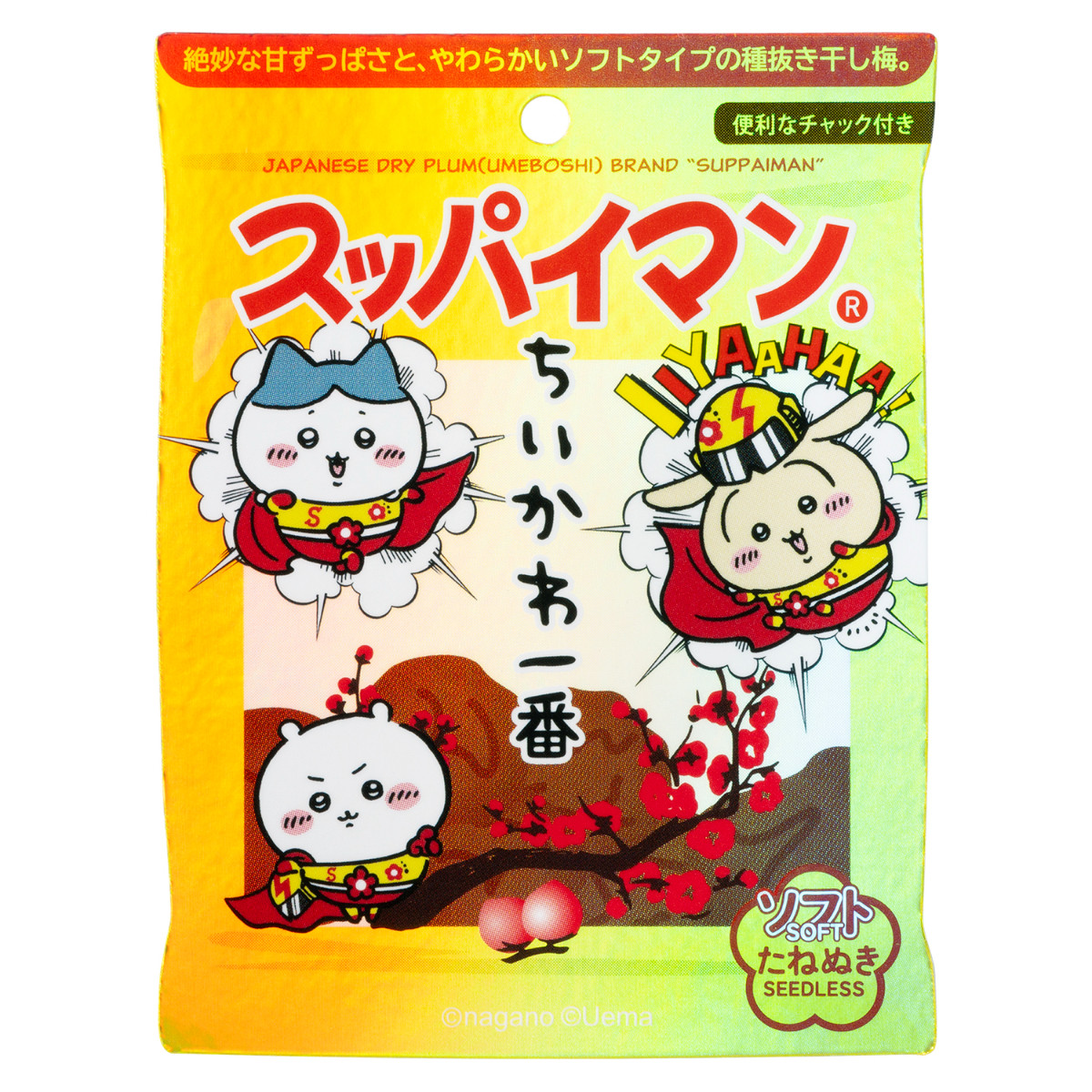 20260803 シーサーのおみやげやさん