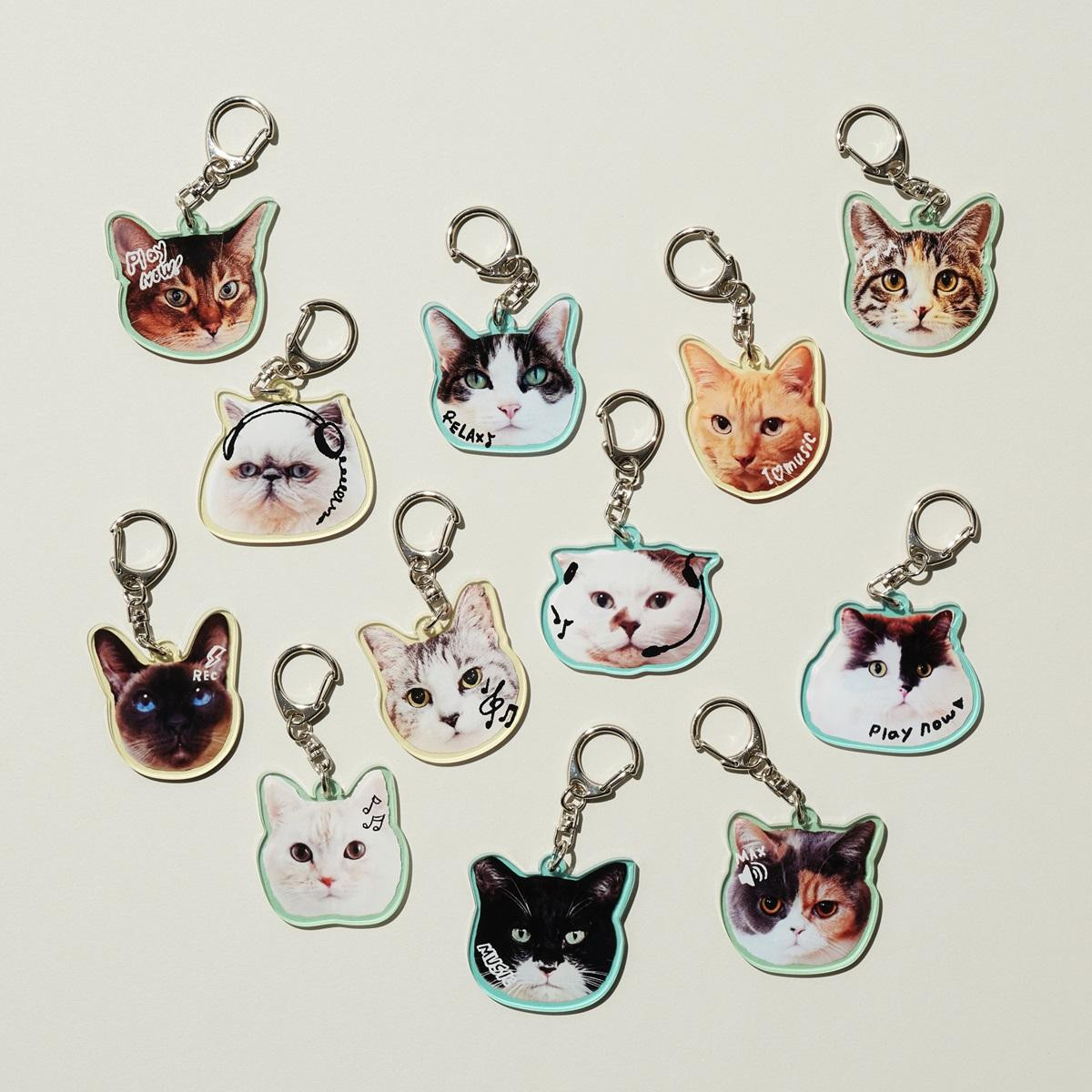 260128「Cat’s NapTime produced by Cat’s ISSUE」第12弾