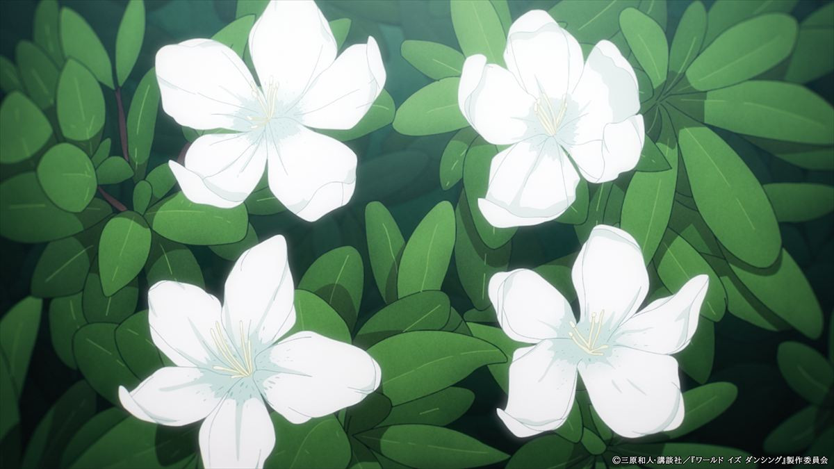 後に世阿弥と呼ばれる少年の物語『ワールド イズ ダンシング』アニメ化決定！　主演は花森ゆみりに