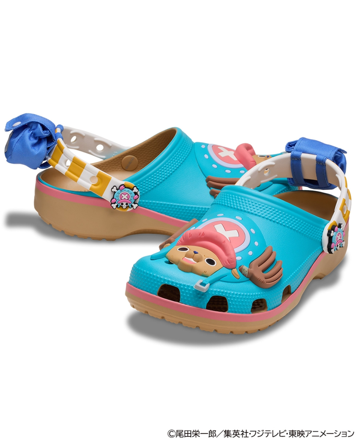 20260225_ワンピース