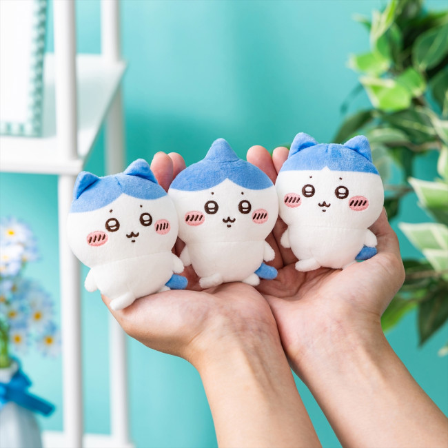 写真）“ハチワレしか出ない”オンラインくじ登場！ 全長約48cmの超BIGな