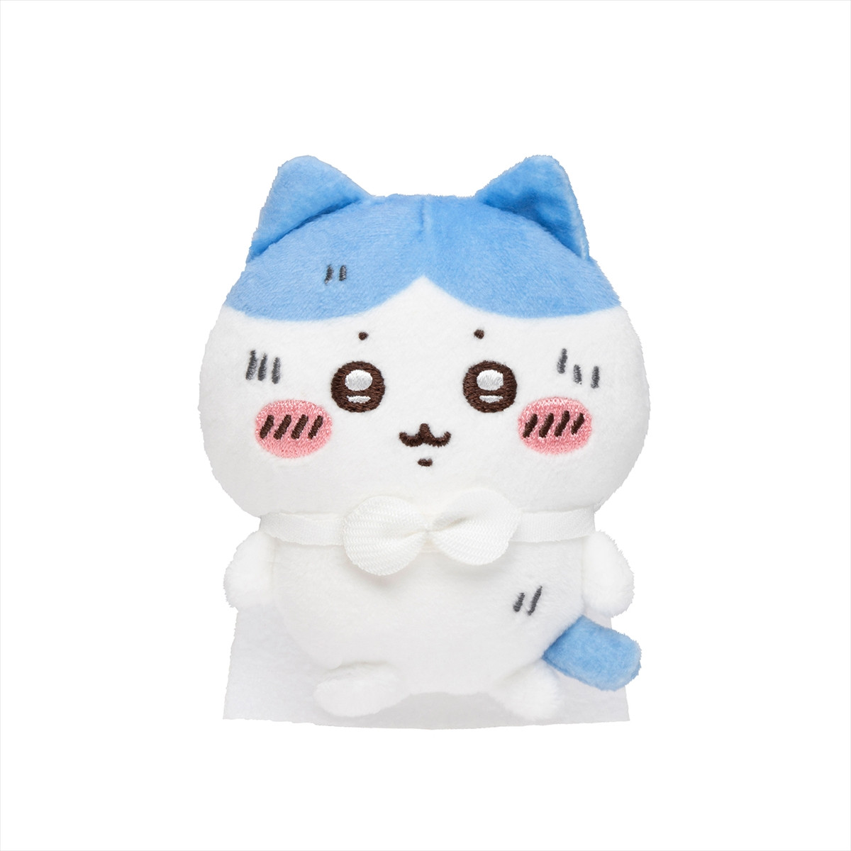 20260217_ハチワレだらけくじ