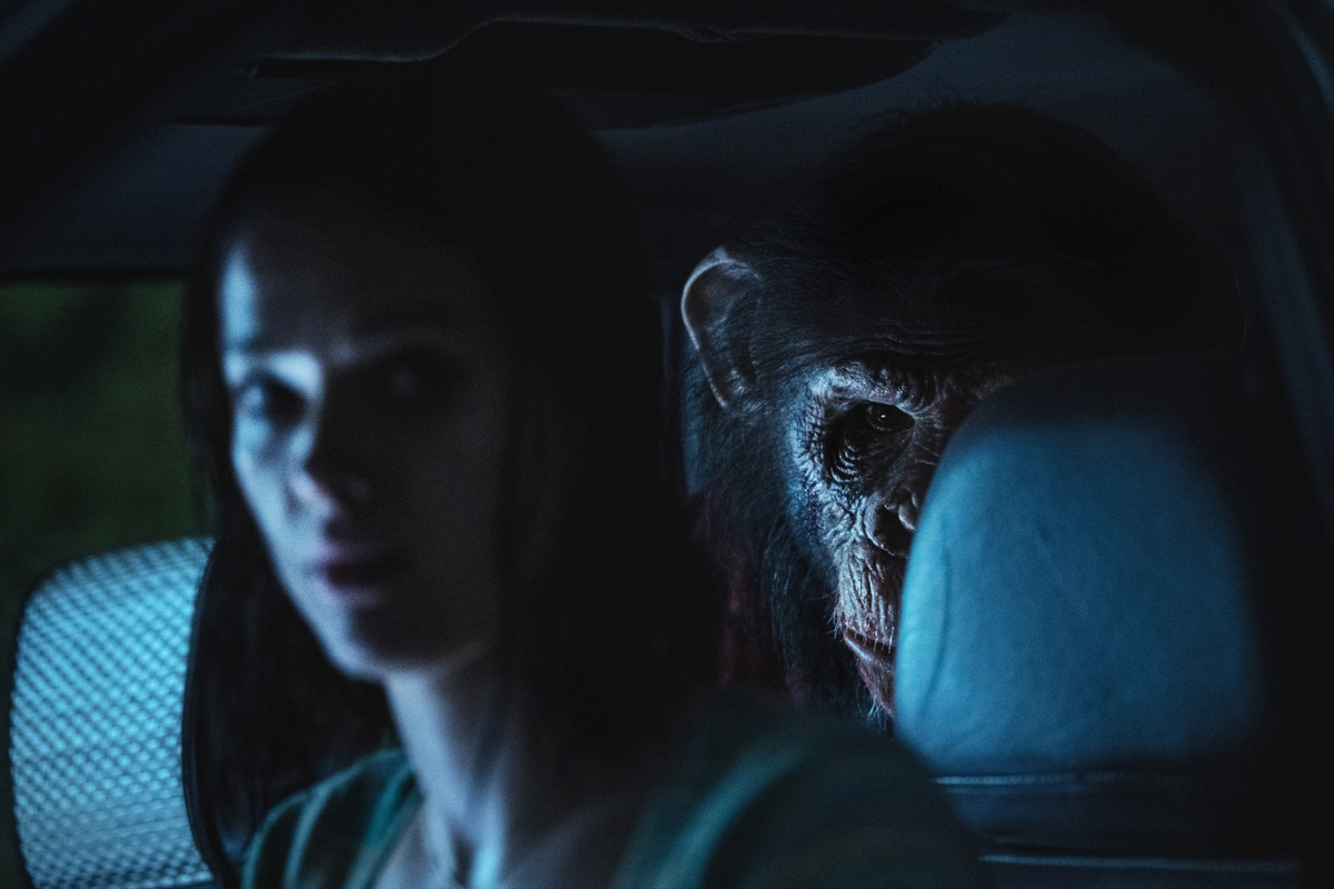 もしチンパンジーが狂犬病に感染したら――『おさるのベン』が描く現実と地続きの悪夢