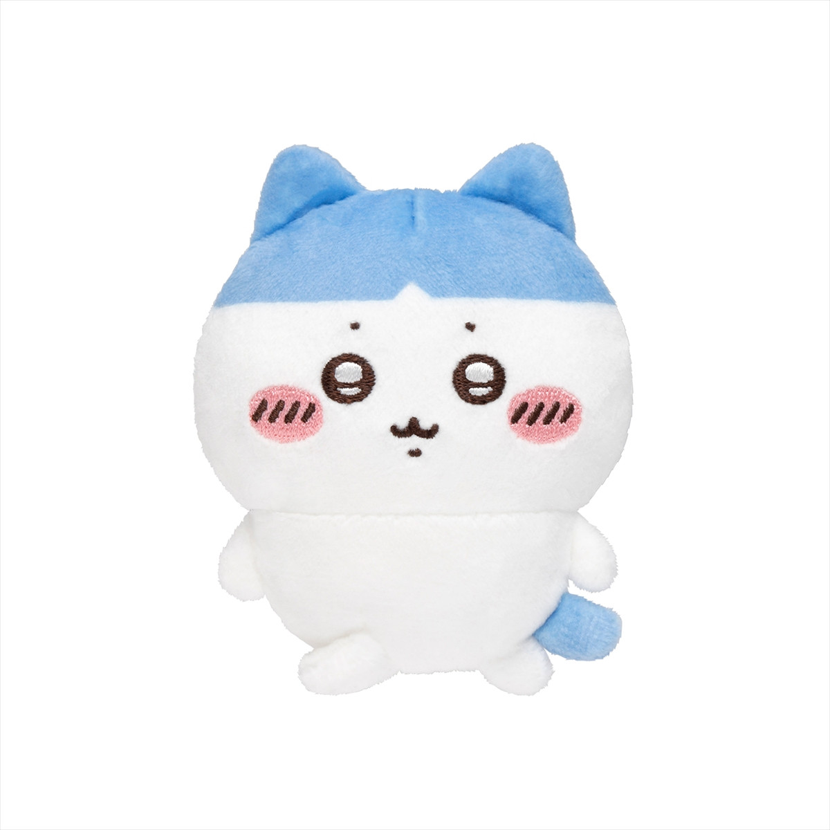 20260217_ハチワレだらけくじ