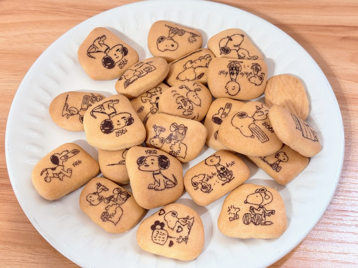 20260306 スヌーピーのポーチ