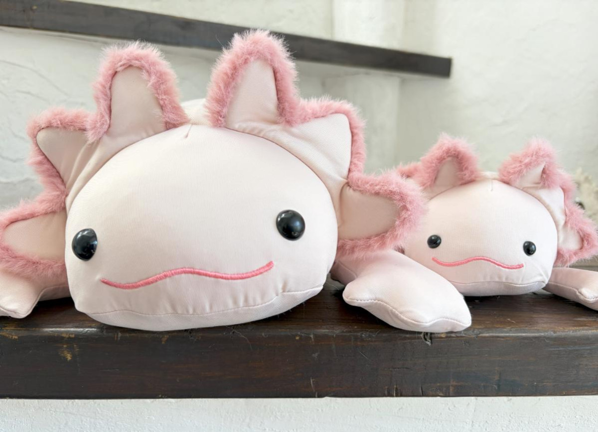 260324「Nクールのモチモチぬいぐるみクッションシリーズ」