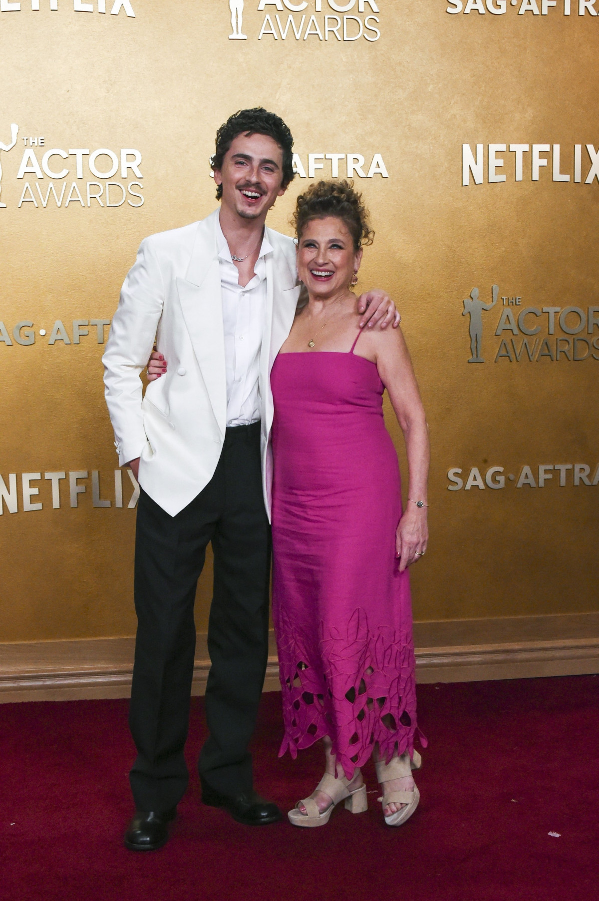 エマ・ストーン＆デミ・ムーアら豪華セレブが集結　アクター賞レッドカーペットを振り返り！