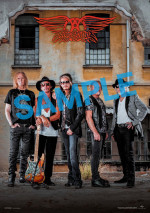 『エアロスミス・ロックス・ドニントン 2014』ローソン・ユナイテッドシネマ、HMV限定ポスター