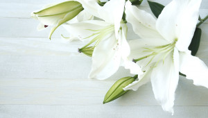 お笑いコンビ、共犯者の洋平さん26歳が急逝　所属事務所が公表