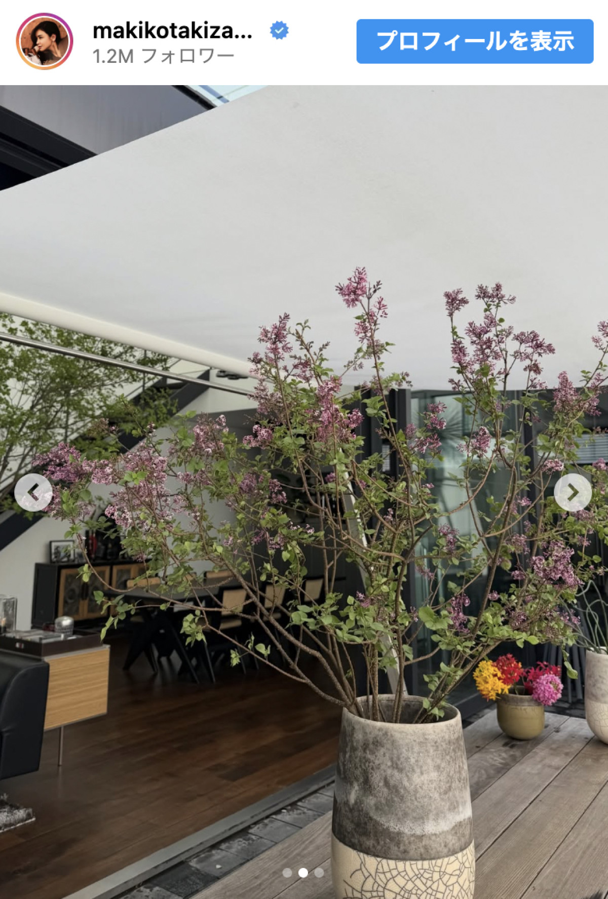 滝沢眞規子47歳、“豪邸と話題”自宅の植物を披露「優雅だなぁ」「センスよすぎ」　3児の母