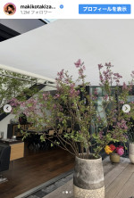 自宅の植物を披露　※「滝沢眞規子」Instagram