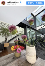 自宅の植物を披露　※「滝沢眞規子」Instagram