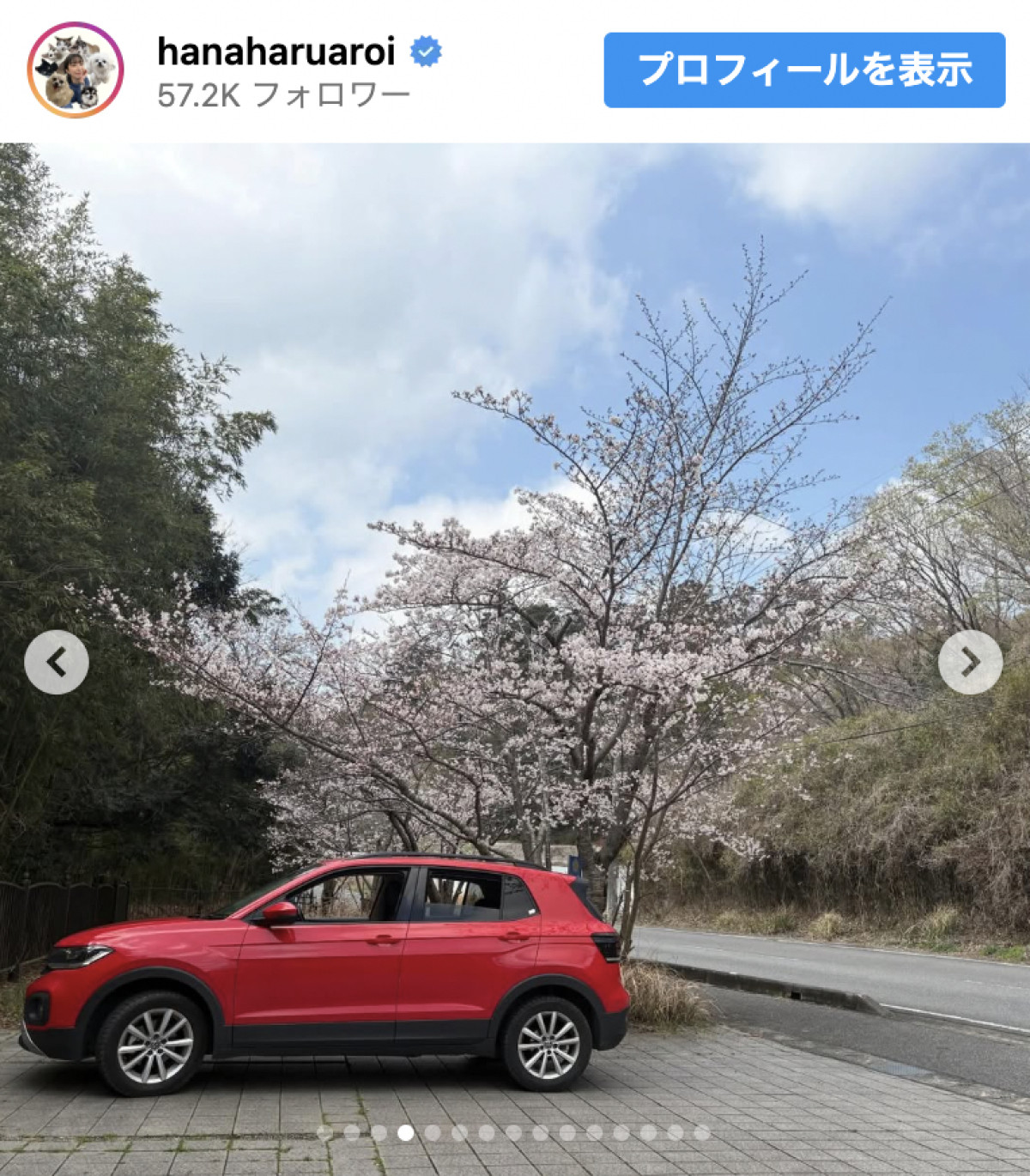 44歳美女タレント、愛車が「シブい」「カッコよすぎ」とネット騒然　2002年のCMで大ブレイク