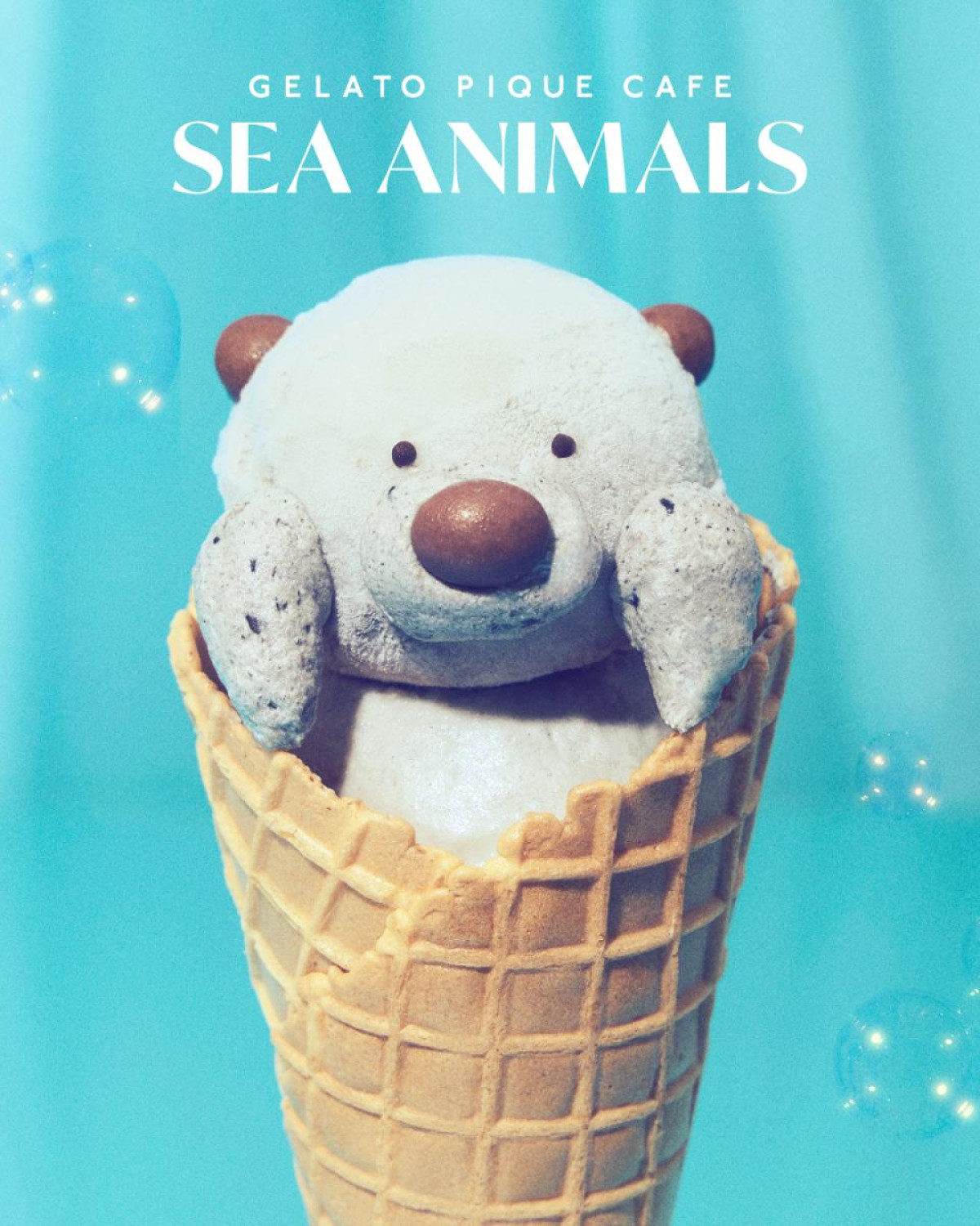 260523「SEA ANIMALS」
