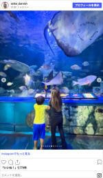 ダルビッシュ家、家族旅行の様子　※「ダルビッシュ聖子」Instagram