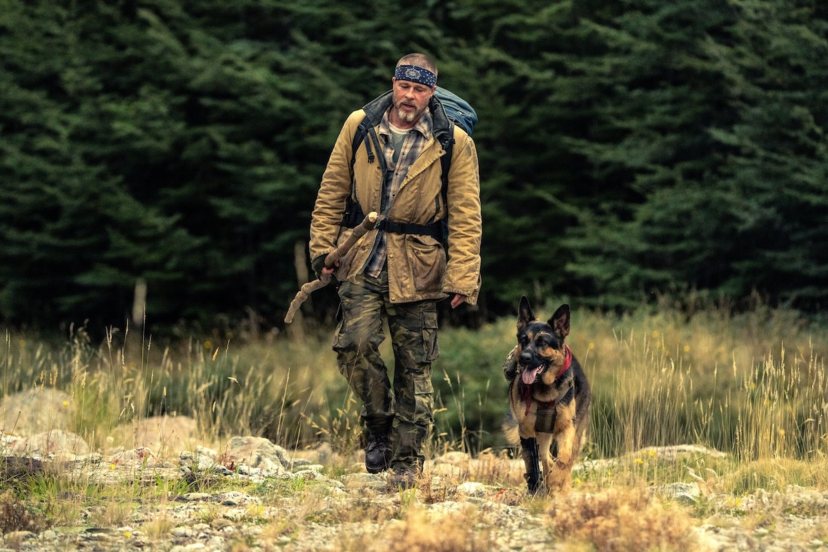 ブラッド・ピット×義足の元軍用偵察犬、過酷な大自然を生き抜く『ハート・オブ・ビースト』予告解禁