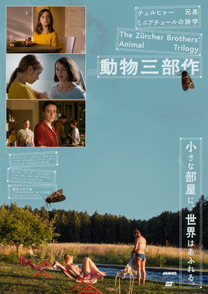 【動画】『ストレンジ・リトル・キャット』予告映像