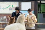 映画『さとこはいつも』場面写真