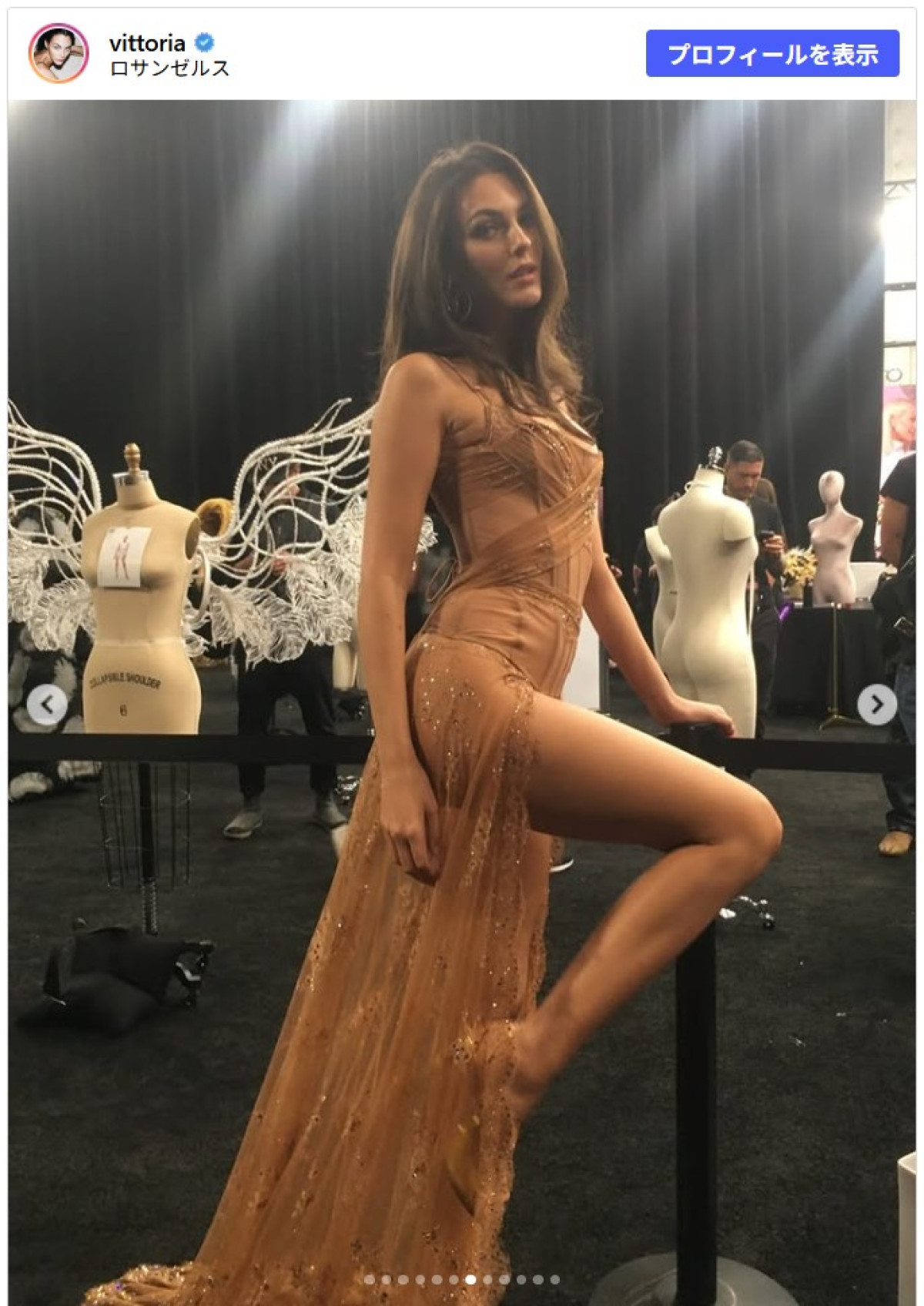 レオナルド・ディカプリオ恋人の“エンジェル”姿に「美しい」称賛の声