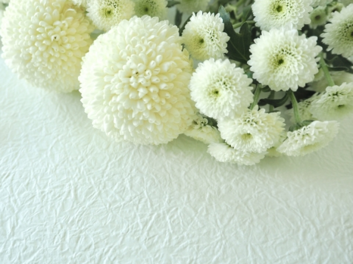 元グラビアアイドル・藤乃あおいさん死去