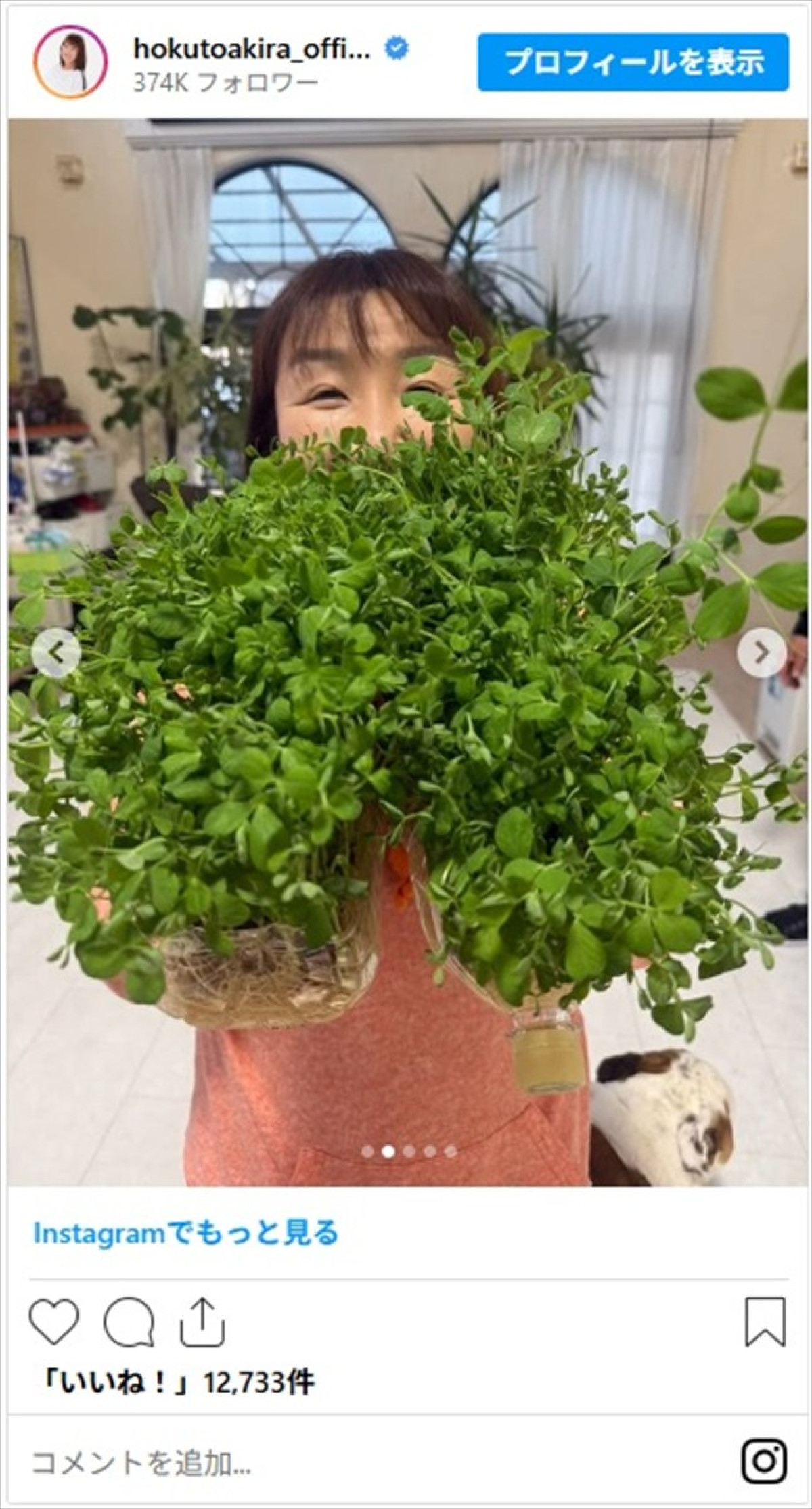 北斗晶・井上咲楽ら女性芸能人の心も体もあったまる鍋料理に「美味しそう」「レシピ教えて欲しいです」