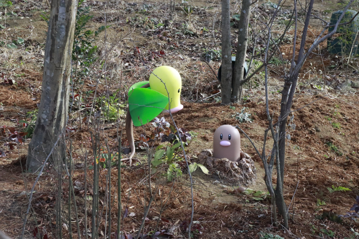 20260126 ポケパーク