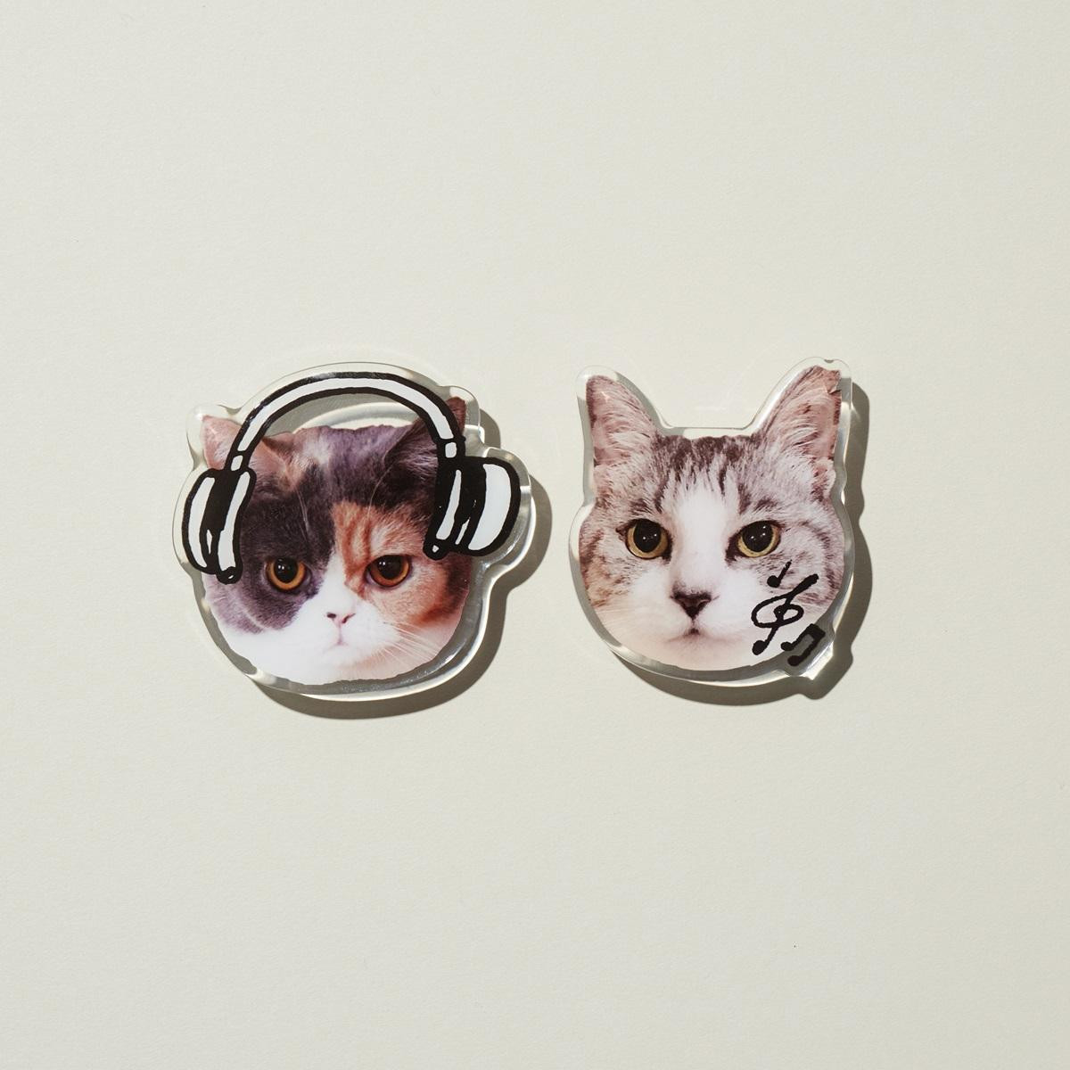 260128「Cat’s NapTime produced by Cat’s ISSUE」第12弾