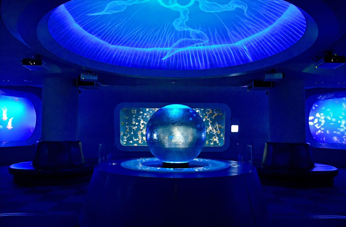 260226「えのすいで発見!!　たまごっちと海のなかまたち！」