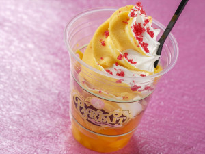 20260205_ヴァネパルフード