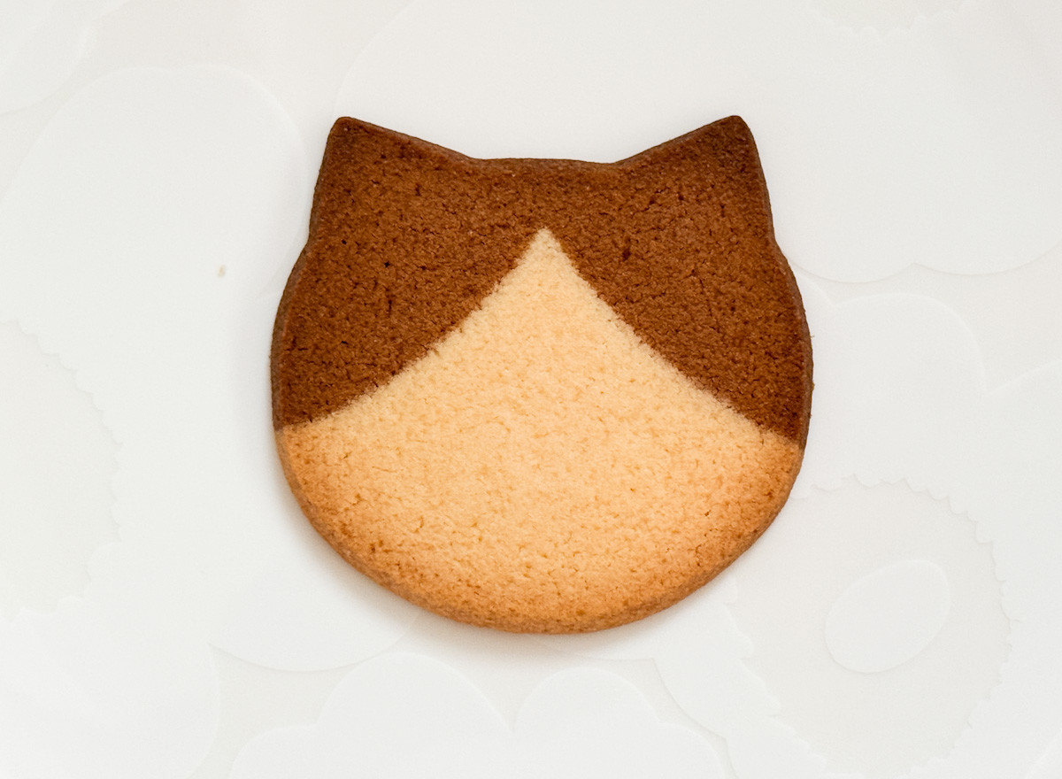 20260209 ファミリ～にゃ～ト大作戦！