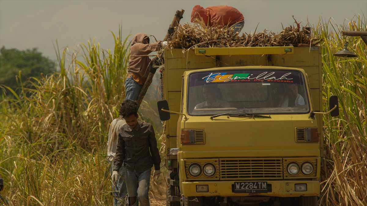 インドネシアホラー映画『サトウキビは知っている』ポスタービジュアル＆本予告映像が公開