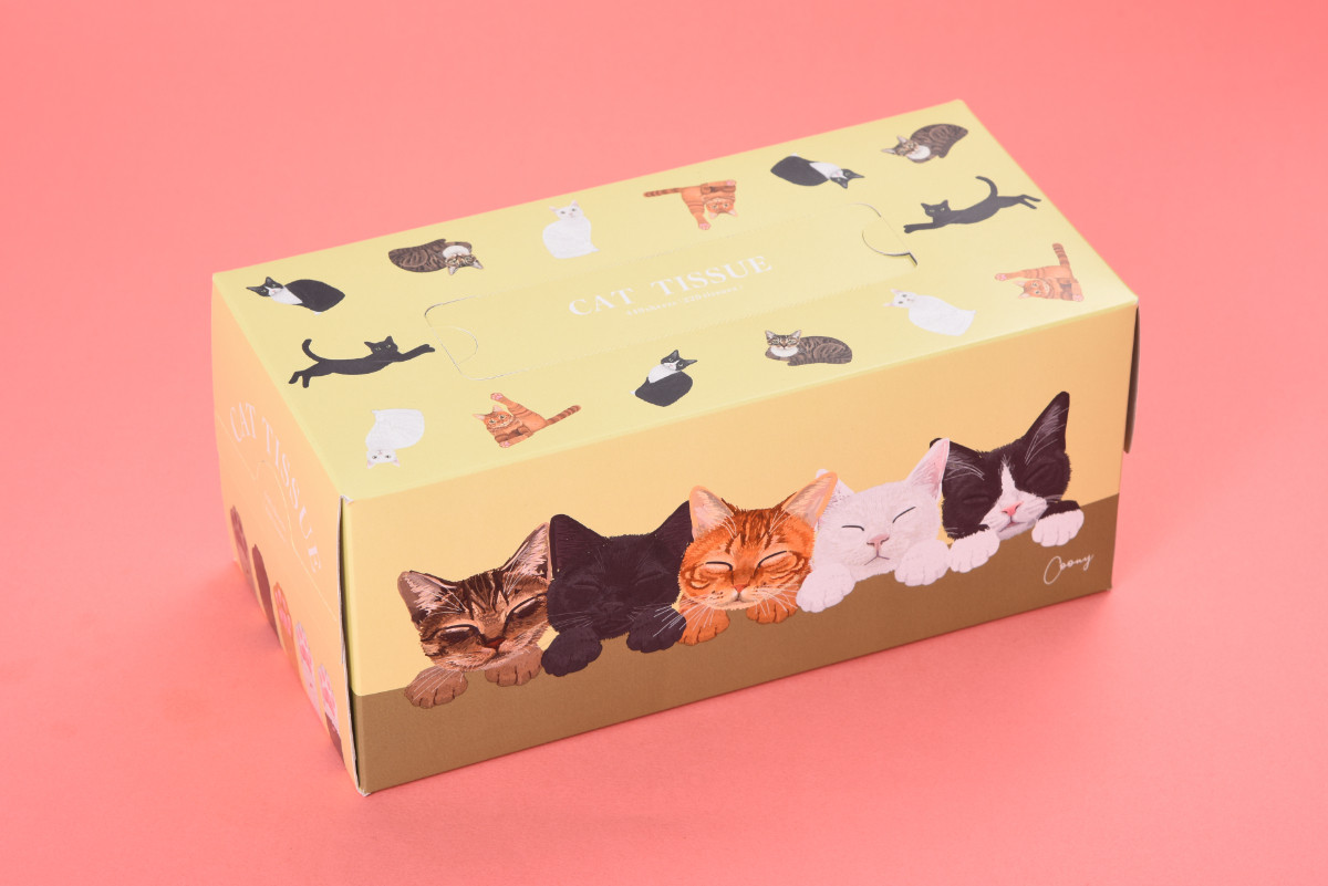 20260204 ファミリ～にゃ～ト大作戦！