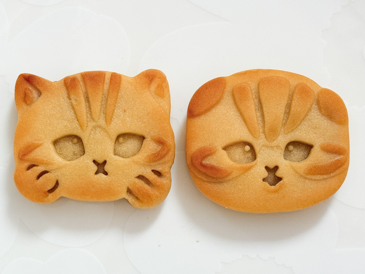 20260209 ファミリ～にゃ～ト大作戦！