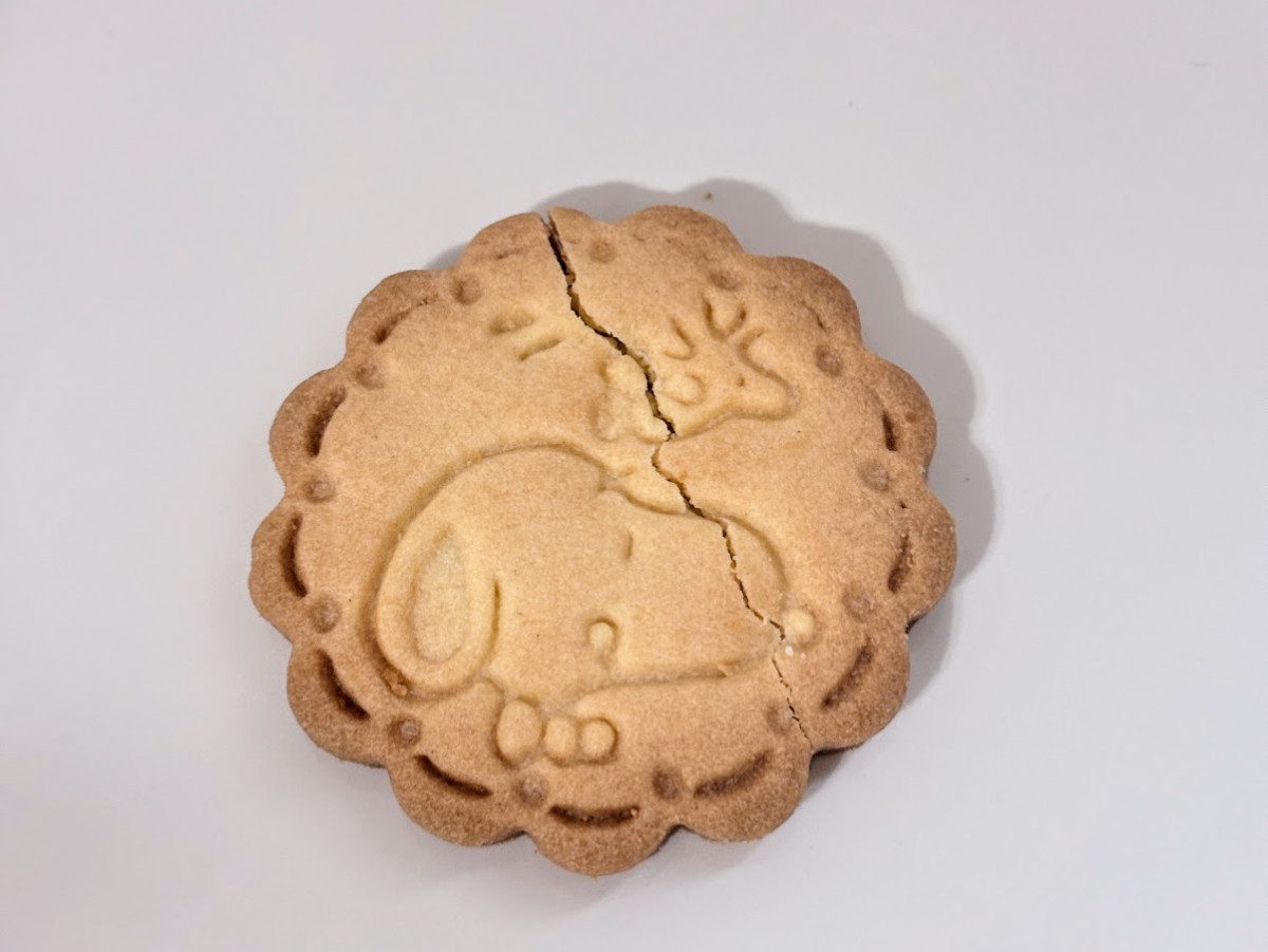 20260306 スヌーピーのポーチ