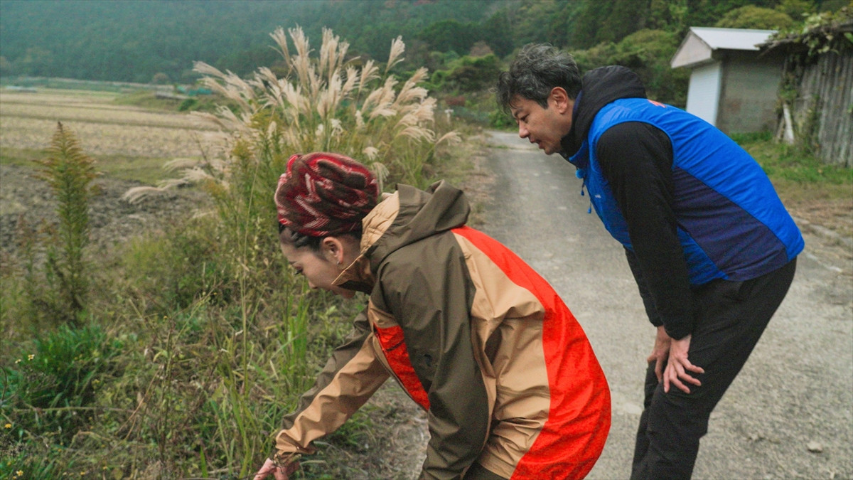 MISIA、『ダーウィンが来た！』新テーマ曲を制作「未知の世界へ踏み出していくワクワクとともに伝えられたら」