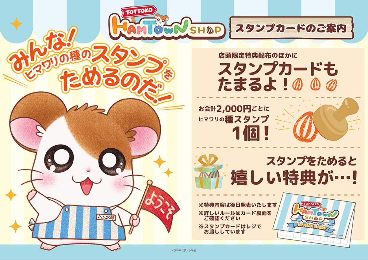 20260330 とっとこハムタウンショップ