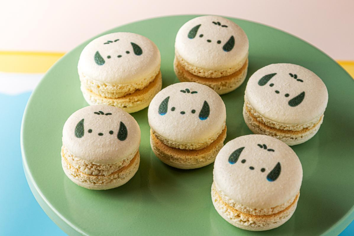 260318「Come travel with us～はぴだんぶいの福岡探検～」