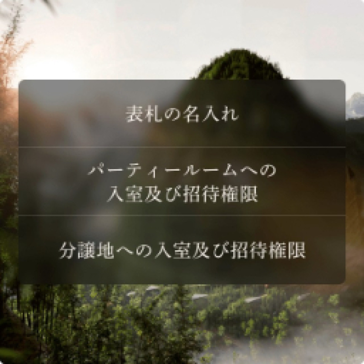 「たけのこの里」分譲	