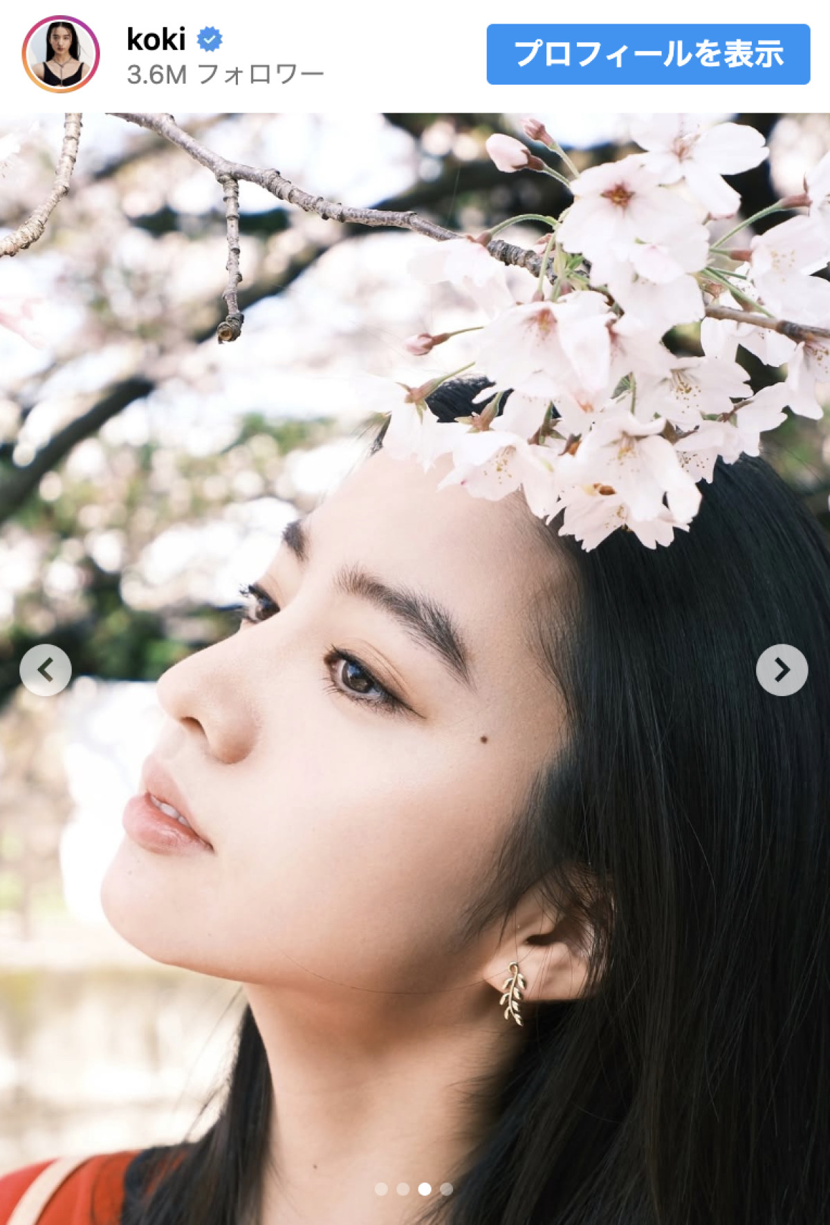 Koki，この一瞬が美しすぎる　桜とともに切り取った“奇跡の横顔”