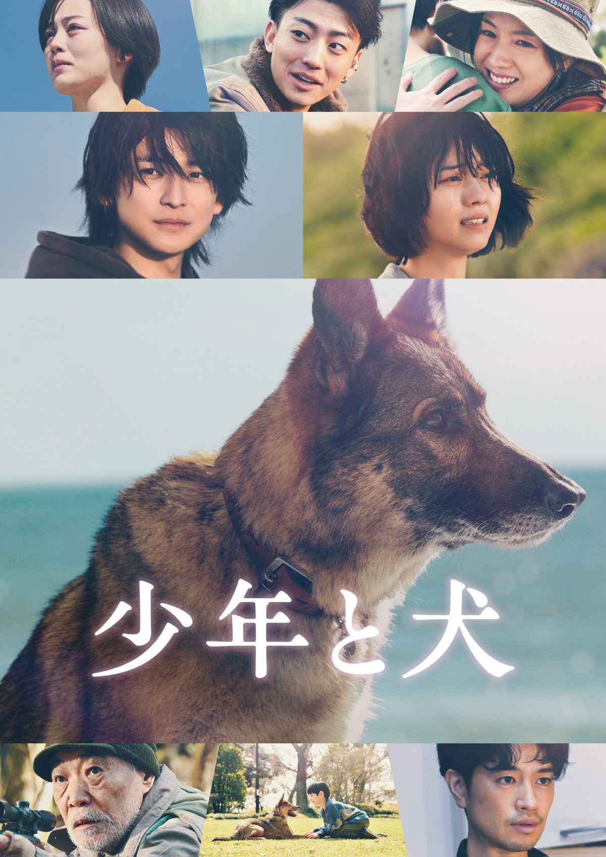 映画『少年と犬』Prime Videoで見放題独占配信中 