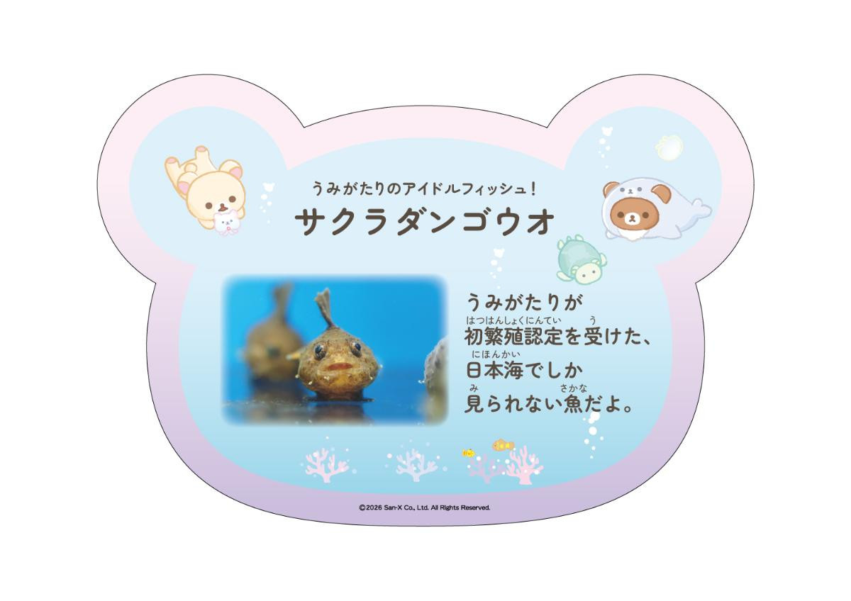 260531「リラックマ × 上越市立水族博物館 うみがたり」