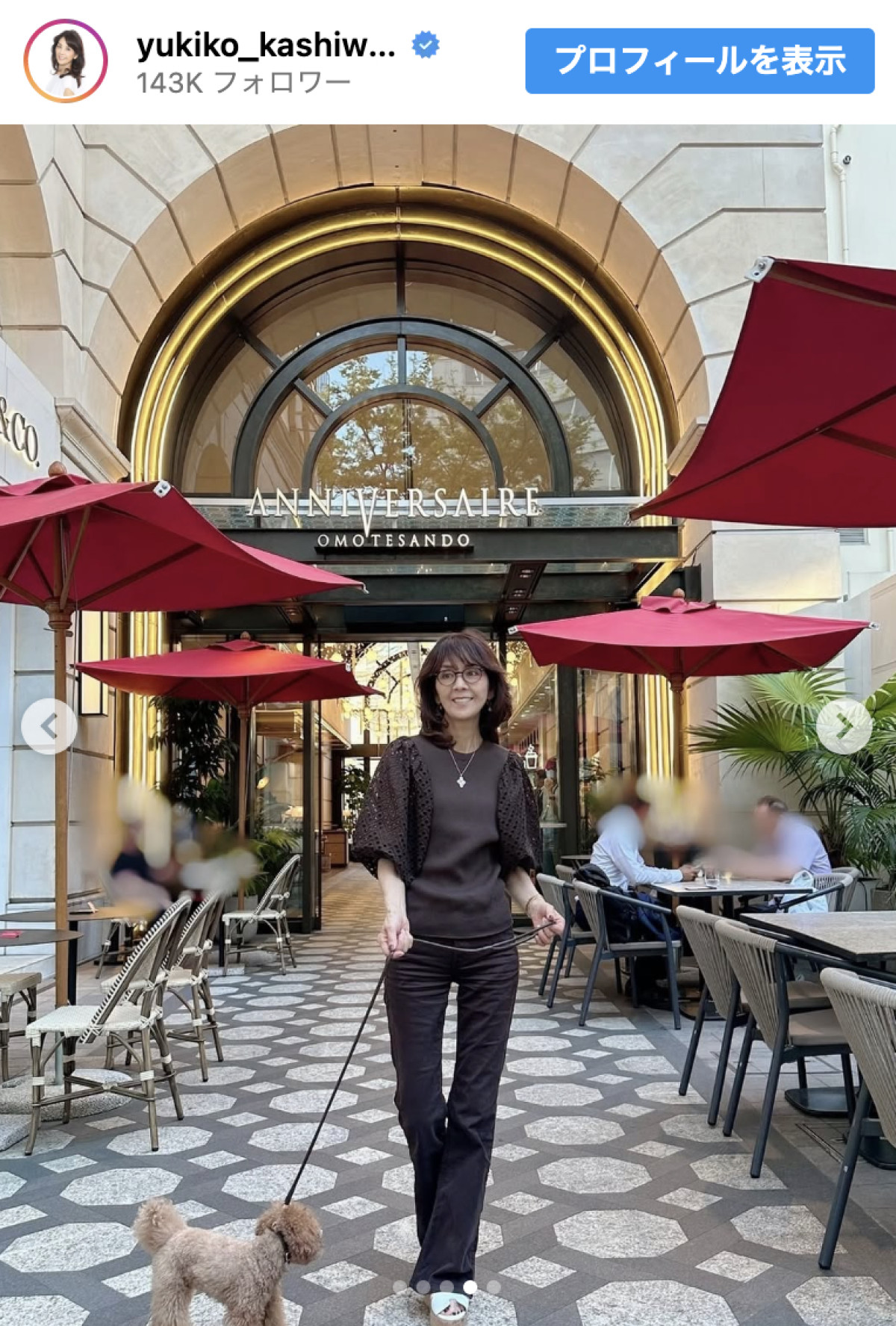 柏木由紀子78歳、愛犬と表参道さんぽ　変わらぬ美しさに「まるで少女のよう」「素敵です」