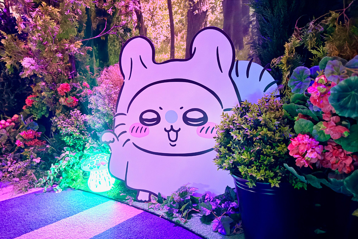 20260724_お台場ファンライジング
